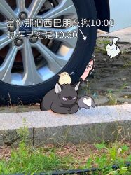  anger_vein animalization bang_dream! bang_dream!_it&#039;s_mygo!!!!! bird cat chihaya_anon chinese_commentary chinese_text commentary_request grass greente49054204 highres kaname_raana mygo!!!!!_(bang_dream!) nagasaki_soyo no_humans outdoors penguin raana_the_cat shiina_taki takamatsu_tomori translation_request trembling wheel 