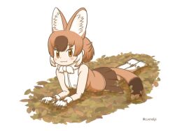  1girl :3 animal_ears autumn_leaves bare_shoulders blush boots bow bowtie brown_eyes brown_hair brown_shirt brown_skirt brown_thighhighs cuonalpi dhole_(kemono_friends) dog_ears dog_girl dog_tail extra_ears fur_collar gloves hair_between_eyes kemono_friends leaf lying multicolored_hair on_stomach pleated_skirt shirt short_hair sidelocks skirt sleeveless solo tail thigh-highs two-tone_shirt two-tone_thighhighs white_boots white_bow white_bowtie white_fur white_gloves white_hair white_shirt white_thighhighs zettai_ryouiki 