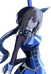  1girl admire_vega_(starry_nocturne)_(umamusume) admire_vega_(umamusume) animal_ears blue_dress breasts brown_hair closed_mouth disfiro03 dress ear_covers gloves hair_between_eyes highres horse_ears horse_girl horse_tail long_hair long_sleeves low_ponytail ponytail red_eyes simple_background solo tail umamusume upper_body white_background white_gloves 