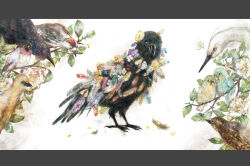  animal_request bird budgerigar_(bird) colorful commentary_request crane_(animal) crow dove eurasian_wryneck flower highres japanese_white-eye letterboxed looking_at_viewer morick_(flower) no_humans original purple_flower rainbow_feathers white-backed_woodpecker white_background woodpecker yellow_flower 