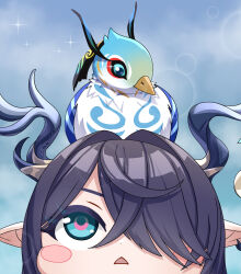  1girl absurdres animal_on_head antlers bird bird_on_head blue_bird blue_eyes blush_stickers chinese_commentary close-up cloud_retainer_(genshin_impact) commentary_request dd_che_shen deer_antlers genshin_impact hair_over_one_eye highres horns lauma_(genshin_impact) looking_at_animal looking_up on_head pointy_ears purple_hair solo triangle_mouth xianyun_(genshin_impact) 