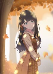  1girl autumn_leaves black_hair braid button_dress dappled_sunlight dress grey_eyes hair_behind_ear hair_ribbon happy_enjoy_music!_(project_sekai) highres hoshino_ichika_(project_sekai) ja_10032 leaf light_smile long_hair long_sleeves looking_at_viewer official_alternate_costume official_alternate_hairstyle parted_bangs pinafore_dress plaid_clothes project_sekai ribbon sailor_collar single_braid sleeveless sleeveless_dress solo sunlight tree 