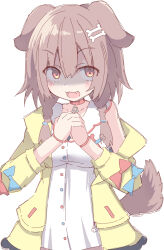  1girl :d animal_ears bare_shoulders blue_bow blush bone_hair_ornament bow braid breasts brown_hair cartoon_bone collar collarbone commentary_request dog_ears dog_girl dog_tail dress fang hair_ornament hair_over_shoulder highres hololive inugami_korone inugami_korone_(1st_costume) jacket long_hair long_sleeves low_twintails medium_breasts off_shoulder open_clothes open_jacket own_hands_together puffy_long_sleeves puffy_sleeves red_bow red_collar red_eyes shaded_face simple_background sleeveless sleeveless_dress smile solo tail twin_braids twintails umberblack virtual_youtuber white_background white_dress yellow_jacket 