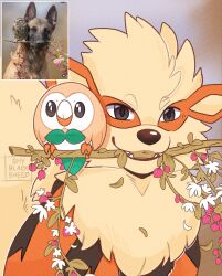  animal_focus arcanine bird fangs fangs_out grey_eyes highres looking_at_viewer no_humans open_mouth orange_fur owl photo-referenced photo_inset pokemon pokemon_(creature) pokemon_focus reference_photo rowlet shyblacksheep smile stick 
