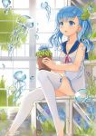  1girl blue_eyes blue_hair dress feet_in_water floating flower flower_pot jellyfish long_hair original sitting soaking_feet solo terras thighhighs twintails water 