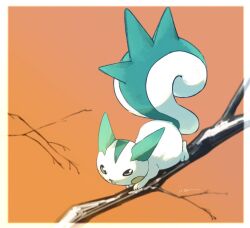  animal_focus animal_hands blue_fur border closed_mouth commentary full_body isutai looking_at_viewer no_humans orange_background pachirisu pokemon pokemon_(creature) simple_background sitting_on_branch solo squirrel standing symbol-only_commentary white_border white_fur 