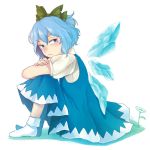  1girl ankle_socks blue_eyes blue_hair cirno dress fingernails flower frown hair_ribbon knees_to_chest knees_up leg_hug looking_away looking_over_shoulder moriya_01 no_shoes puffy_short_sleeves puffy_sleeves ribbon short_hair short_sleeves simple_background sitting solo tears white_background wings 