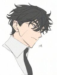  1boy black_hair black_necktie collared_shirt curtained_hair head_tilt highres looking_at_viewer male_focus necktie omniscient_reader's_viewpoint paradero_91 portrait scar scar_on_face secretive_plotter shirt short_hair solo vest white_shirt white_vest yellow_eyes yoo_joonghyuk 