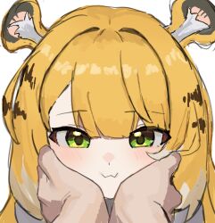  1girl animal_ears blonde_hair closed_mouth green_eyes hands_on_another's_cheeks hands_on_another's_face ju_fufu long_hair looking_at_viewer minez portrait pov pov_hands simple_background smile tiger_ears white_background zenless_zone_zero 