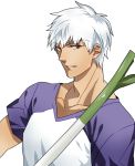  1boy archer brown_eyes dark_skin fate/stay_night fate_(series) mitsuki_mitsuno raglan_sleeves solo spring_onion t-shirt white_hair 