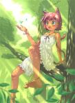  1girl aki_(akisora_hiyori) animal_ears anklet barefoot blush bracelet butterfly cat_ears cat_tail dress fang green_eyes highres jewelry nature necklace open_mouth original pink_hair short_hair sitting solo tail tree tree_branch 