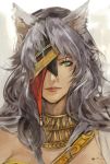  eyepatch fire_emblem fire_emblem:_akatsuki_no_megami fire_emblem_radiant_dawn green_eyes lips long_hair nailah opiu silver_hair sketch wolf_ears 