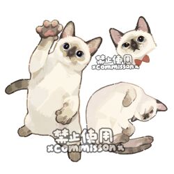  animal animal_focus arm_up blue_eyes bow bowtie cat colorpoint_(pattern) commission cropped_head curled_up full_body looking_at_viewer lying multiple_views no_humans on_side original pawpads rearing red_bow red_bowtie siamese_cat simple_background swatting watermark white_background xiao_bo_kuai_kuai 