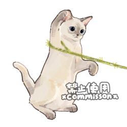  animal animal_focus blue_eyes cat cat_teaser colorpoint_(pattern) commission full_body grey_cat no_humans original rearing siamese_cat simple_background solo swatting watermark white_background xiao_bo_kuai_kuai 
