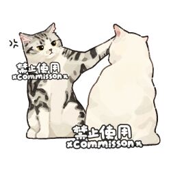  anger_vein animal animal_focus annoyed cat commission full_body grey_cat hitting no_humans original simple_background sitting swatting tabby_cat watermark white_background white_cat xiao_bo_kuai_kuai yellow_eyes 
