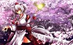  1girl animal_ears black_legwear cherry_blossoms detached_sleeves hat highres inubashiri_momiji long_sleeves looking_at_viewer nekominase obi petals red_eyes sash silver_hair solo sword tail thigh-highs tokin_hat touhou tree weapon wide_sleeves wolf_ears wolf_tail 