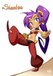  1girl akai_hirofuta arabian_clothes baggy_pants bandeau blue_eyes bracer choker dark_skin earrings goosestepping harem_pants high_ponytail hoop_earrings jewelry long_hair navel pointy_ears pointy_shoes ponytail purple_hair shantae shantae:_half-genie_hero shantae_(character) small_breasts smile solo tiara very_long_hair walking 