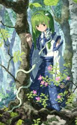  1girl blue_ribbon blue_skirt commentary_request detached_sleeves flower forest frog_hair_ornament green_eyes green_hair hair_ornament hair_tubes highres kajatony kochiya_sanae leaf long_hair long_sleeves looking_at_another mishaguji nature neck_ribbon ribbon shirt skirt skirt_set snake solo touhou tree white_shirt white_snake wide_sleeves 