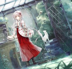  1girl beaker blurry book book_stack boots cat cupboard depth_of_field dutch_angle embroidery embroidery_hoop full_body grass grey_eyes hair_ribbon hakama hakama_skirt hanatsumugi_no_hari holding indoors japanese_clothes kakyouin_shirotsume kimono lace-up_boots laruha light_smile long_hair long_sleeves looking_at_viewer meiji_schoolgirl_uniform original overgrown photoshop_(medium) plant potted_plant red_hakama revision ribbon science short_hair_with_long_locks skirt solo standing stool test_tube white_cat white_hair white_kimono wide_sleeves 