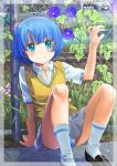  1girl ano_natsu_de_matteru blue_eyes blue_hair blush fence flower looking_at_viewer panties pantyshot pantyshot_(sitting) school_uniform short_hair sitting skirt smile solo striped striped_panties sweater_vest tanigawa_kanna tetsujin_momoko underwear 