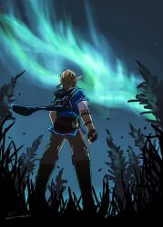  1boy aurora black_cloak black_gloves blonde_hair blue_tunic boots brown_boots cloak fingerless_gloves from_below gloves grass grey_pants hair_tie hashtag-only_commentary highres hood hood_down hooded_cloak link low_ponytail male_focus medium_hair night outdoors pants pointy_ears ponytail shirt sidelocks solo suzu_(suzulin) the_legend_of_zelda the_legend_of_zelda:_breath_of_the_wild tunic white_shirt 