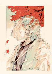  1boy absurdres border fate/grand_order fate_(series) from_side grey_hair highres japanese_clothes leaf long_sleeves looking_ahead male_focus maple_leaf nasubi_illust saitou_hajime_(fate) short_hair solo upper_body white_border 