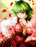  1girl breasts green_hair hand_on_hip hand_on_own_chest kazami_yuuka large_breasts long_sleeves looking_at_viewer nagare petals red_eyes ribbon shirt skirt skirt_set smile solo touhou vest 
