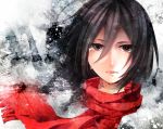  black_eyes black_hair face highres lips mikasa_ackerman portrait scarf shingeki_no_kyojin short_hair tears wakatsuki_you 