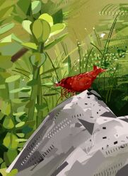  color_contrast commentary english_commentary fish_tank highres junbuug no_humans original painterly rock seaweed shrimp 