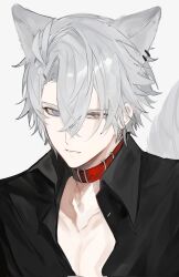  1boy animal_ear_piercing animal_ears black_shirt blue_eyes collar collarbone collared_shirt commentary grey_hair hair_between_eyes heterochromia highres hmayme4238 honkai:_star_rail honkai_(series) kemonomimi_mode looking_at_viewer male_focus open_clothes open_shirt parted_hair phainon_(honkai:_star_rail) red_collar shirt short_hair solo symbol-only_commentary tail upper_body wing_collar wolf_boy wolf_ears wolf_tail yellow_eyes 