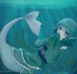  1girl blue_eyes blue_hair bubble covering_mouth head_fins highres japanese_clothes kimono kyun_(vacaloid) mermaid monster_girl obi seaweed short_hair touhou underwater wakasagihime 