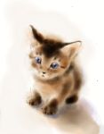  cat fluffy fur furudo_erika highres kitten simple_background uirina 