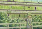  1girl building hat miso_pan moriya_suwako moss plant ruins solo staring touhou 