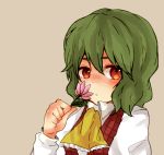  :o artist_request ascot bad_id dobuki flower holding holding_flower kazami_yuuka plaid_vest portrait simple_background smelling_flower touhou 