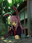  animal_ears annoyed bad_id bamboo bamboo_forest bunny_ears forest hidebo inaba_tewi lying nature necktie pink_hair pitfall purple_eyes reisen_udongein_inaba touhou veranda 