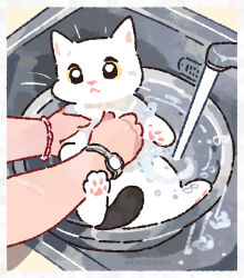  1girl :< animal border bracelet cat closed_mouth dishwashing gentlecat highres holding holding_animal jewelry original photo-referenced sink soap_bubbles twitter_username watch watch water white_border white_cat yellow_eyes 