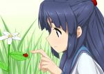  asakura_ryouko blue_eyes blue_hair flower grass ladybug long_hair namamo_(kura) school_uniform suzumiya_haruhi_no_yuuutsu 