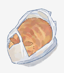  animal animal_focus bag cat commentary english_commentary gentlecat grocery_bag highres in_container no_humans original photo-referenced shopping_bag simple_background solo white_background 