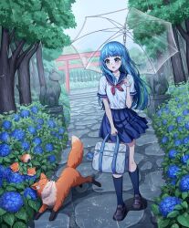  1girl absurdres arahashi_tabi bag black_socks blue_eyes blue_flower blue_hair blue_sailor_collar blue_skirt brown_shoes character_ornament dopal1223 flower fox fox_statue full_body grey_bag highres holding holding_bag holding_umbrella kneehighs long_hair neckerchief open_mouth outdoors plant pleated_skirt pungdangi_(arahashi_tabi) rain red_neckerchief sailor_collar school_uniform shirt shoes short_sleeves skirt socks solo stellive torii tree umbrella virtual_youtuber white_shirt 