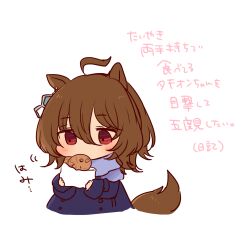  1girl agnes_tachyon_(umamusume) ahoge alternate_costume animal_ears blue_coat blue_scarf blush brown_hair chiyakobu coat commentary_request food hair_between_eyes highres holding holding_food horse_ears horse_girl horse_tail red_eyes scarf short_hair solo tail taiyaki umamusume wagashi wolf_cut 