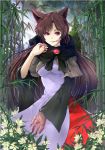  1girl animal_ears bamboo bamboo_forest blood blood_on_face bloody_clothes bloody_hands brooch brown_hair cibo_(killy) flower forest full_moon imaizumi_kagerou jewelry long_hair long_sleeves moon nature red_eyes shirt skirt smile solo tail touhou very_long_hair wide_sleeves wolf_ears wolf_tail 