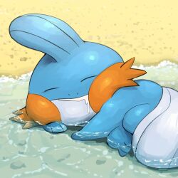  absurdres beach blue_skin closed_eyes colored_skin day drooling highres mudkip no_humans outdoors pokemon pokemon_(creature) sand sleeping solo spicyichizo tail water 