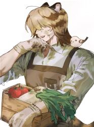  1boy animal_ear_fluff animal_ears bird blanc_(heartopia) blonde_hair blush brown_hair commentary_request food gloves hair_over_eyes heartopia highres male_focus multicolored_hair nxx17 solo tail tiger_boy tiger_ears tiger_tail two-tone_hair vegetable white_background 