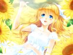  1girl air blonde_hair blue_eyes collarbone dress flower hair_ribbon kamio_misuzu long_hair mada_(mk333) ponytail ribbon smile solo sunflower 
