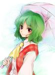  1girl ascot green_hair kazami_yuuka makuwauri plaid plaid_vest red_eyes short_hair solo touhou umbrella 