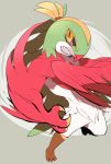  bird clenched_teeth hawlucha no_humans pokemon pokemon_(game) pokemon_xy solo wings 