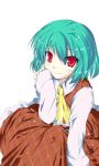  1girl checkered checkered_skirt checkered_vest green_hair hizaka kazami_yuuka red_eyes short_hair skirt solo touhou 