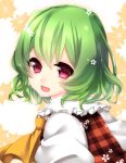  1girl ascot checkered checkered_shirt face floral_background flower frills green_hair kazami_yuuka looking_at_viewer looking_back open_mouth portrait puffy_sleeves red_eyes shirt short_hair simple_background smile solo touhou wavy_hair white_shirt yutazou 