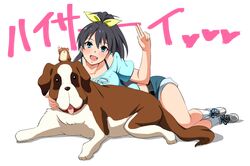  1girl antenna_hair aqua_eyes background_text black_hair blue_eyes collar dog fang ganaha_hibiki hamster hamuzou idolmaster inumi ivolay ponytail shoes short_shorts shorts sneakers socks st_bernard translation_request waving white_legwear 