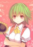  1girl ascot breasts bust crossed_arms culter flower green_hair kazami_yuuka looking_at_viewer open_vest pink_eyes puffy_sleeves shirt short_sleeves smile solo sunflower touhou 